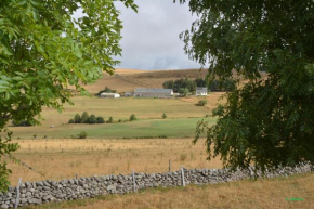 Horizon Aubrac Laguiole, Laguiole